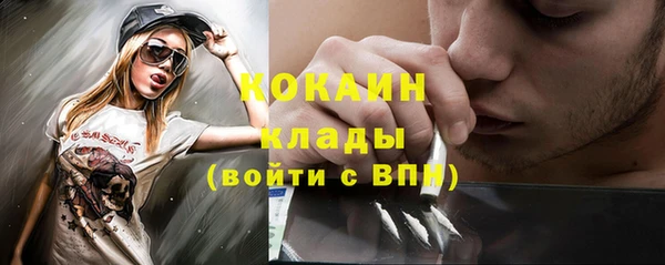 СК Пересвет