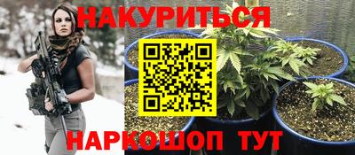 стафф Моздок