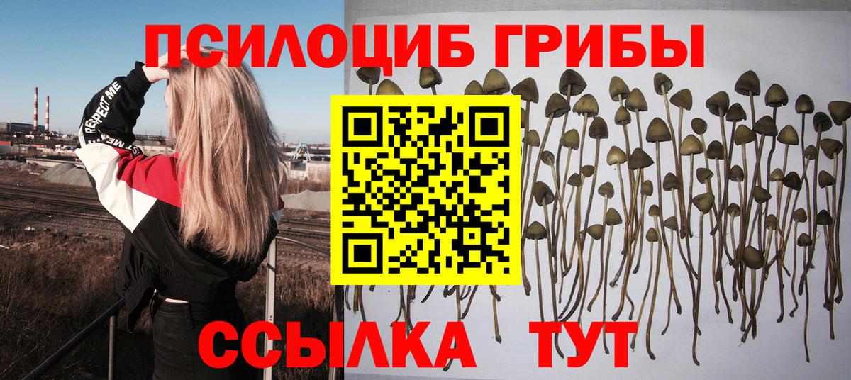 Галлюциногенные грибы Cubensis Югорск